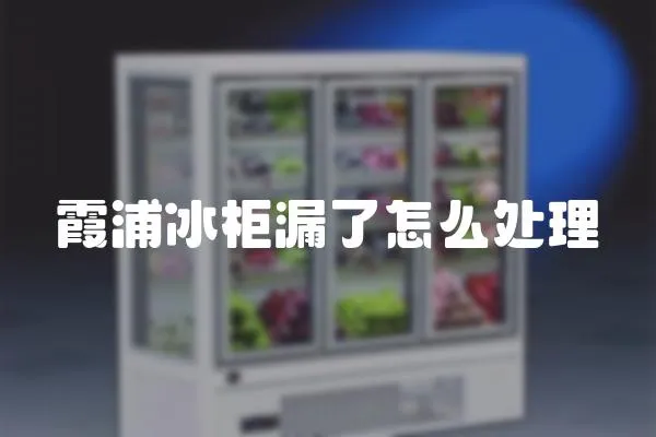 霞浦冰柜漏了怎么處理