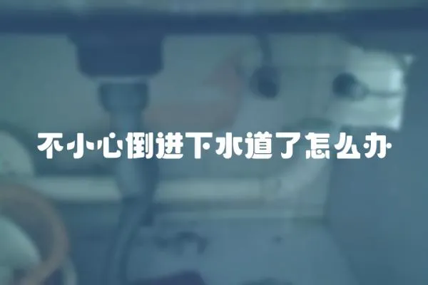 不小心倒進下水道了怎么辦