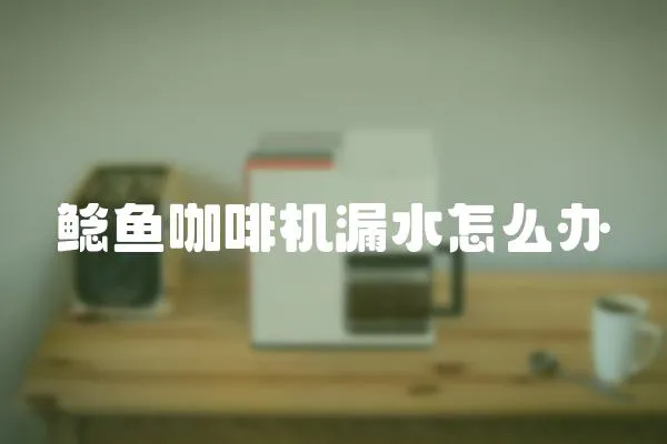 鯰魚咖啡機漏水怎么辦