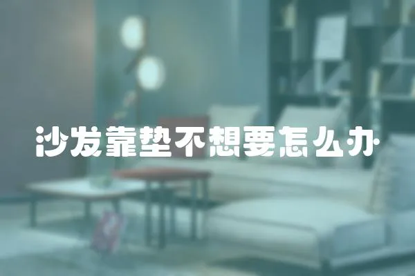 沙發(fā)靠墊不想要怎么辦