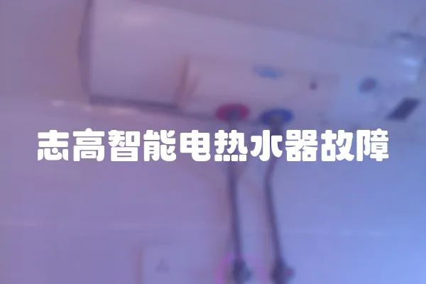 志高智能電熱水器故障