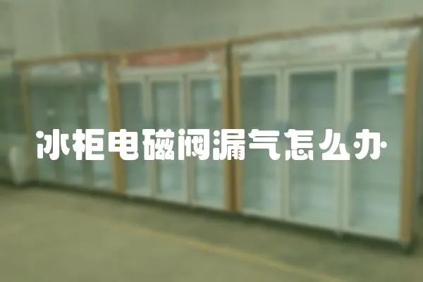 冰柜電磁閥漏氣怎么辦