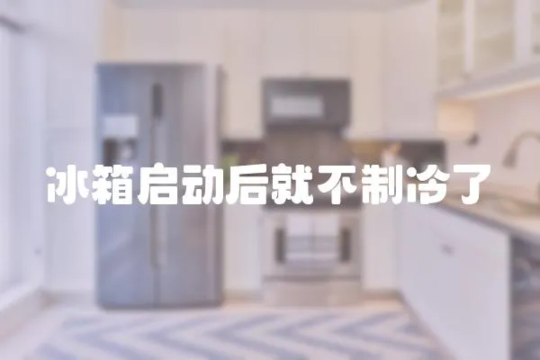 冰箱啟動后就不制冷了