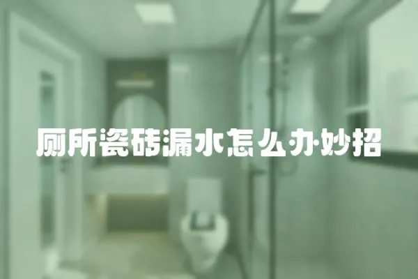 廁所瓷磚漏水怎么辦妙招