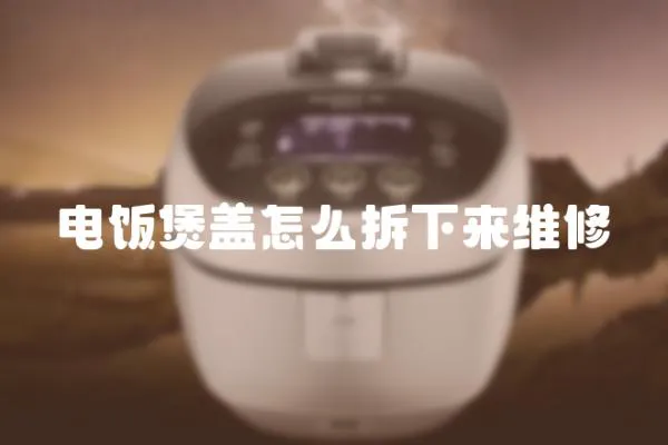 電飯煲蓋怎么拆下來維修