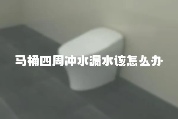馬桶四周沖水漏水該怎么辦