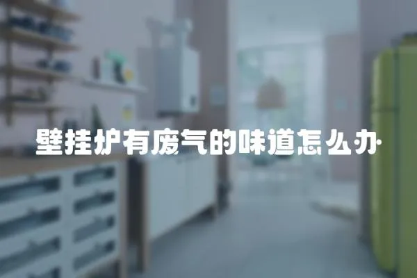 壁掛爐有廢氣的味道怎么辦