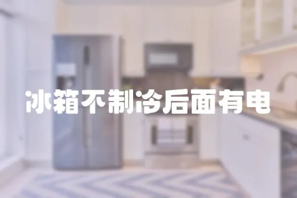 冰箱不制冷后面有電