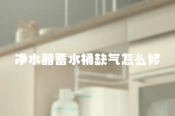 凈水器蓄水桶缺氣怎么修