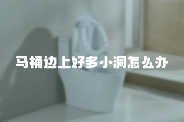 馬桶邊上好多小洞怎么辦