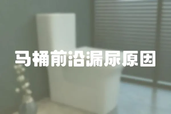 馬桶前沿漏尿原因