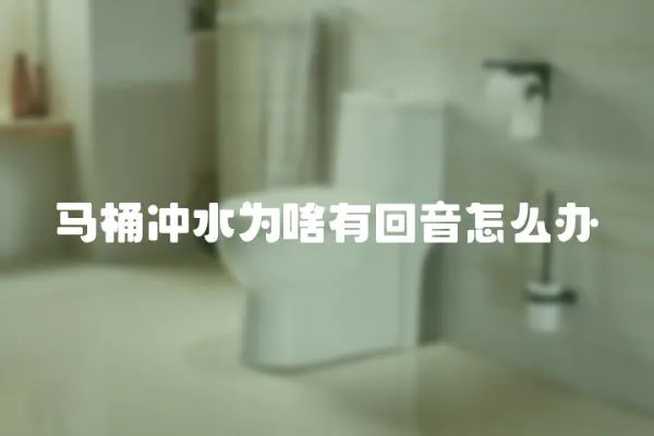 馬桶沖水為啥有回音怎么辦