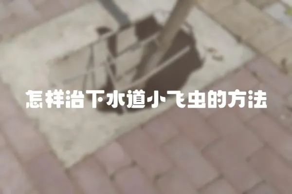 怎樣治下水道小飛蟲的方法