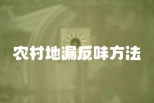農村地漏反味方法