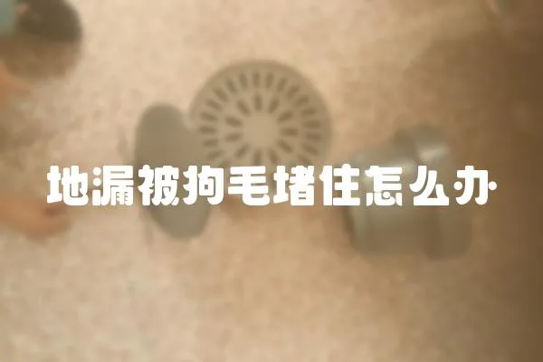 地漏被狗毛堵住怎么辦