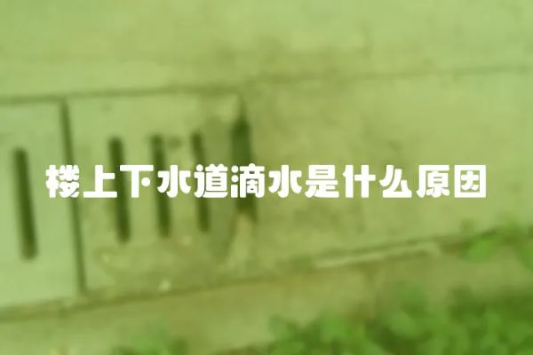 樓上下水道滴水是什么原因