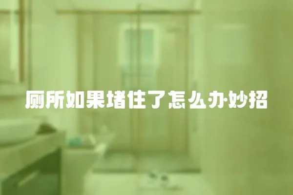 廁所如果堵住了怎么辦妙招