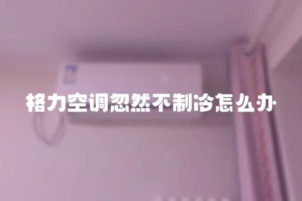 格力空調忽然不制冷怎么辦