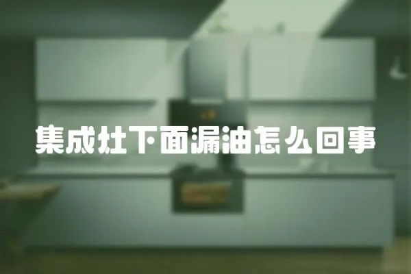 集成灶下面漏油怎么回事