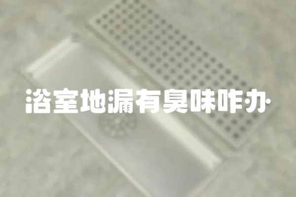 浴室地漏有臭味咋辦