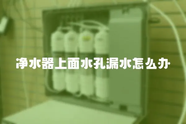 凈水器上面水孔漏水怎么辦