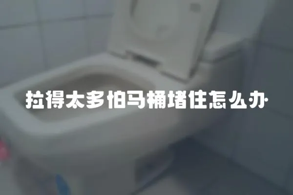 拉得太多怕馬桶堵住怎么辦