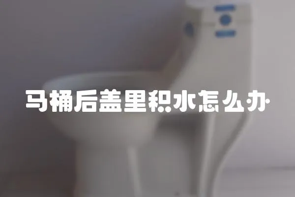 馬桶后蓋里積水怎么辦
