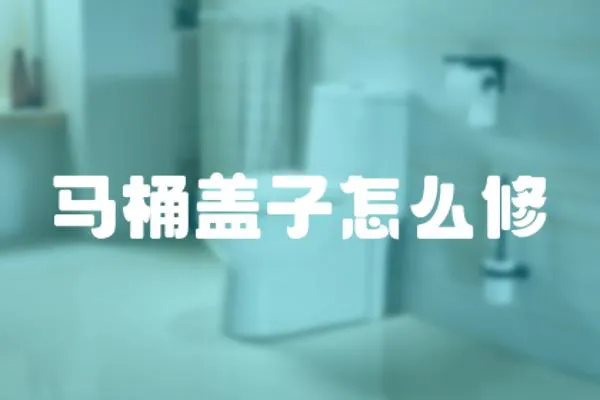 馬桶蓋子怎么修