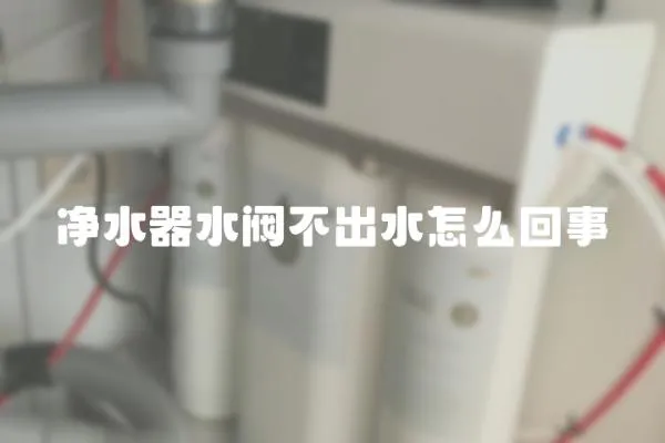 凈水器水閥不出水怎么回事