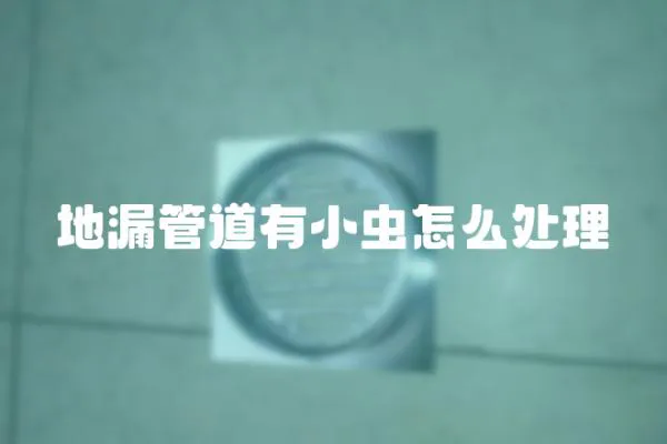 地漏管道有小蟲怎么處理