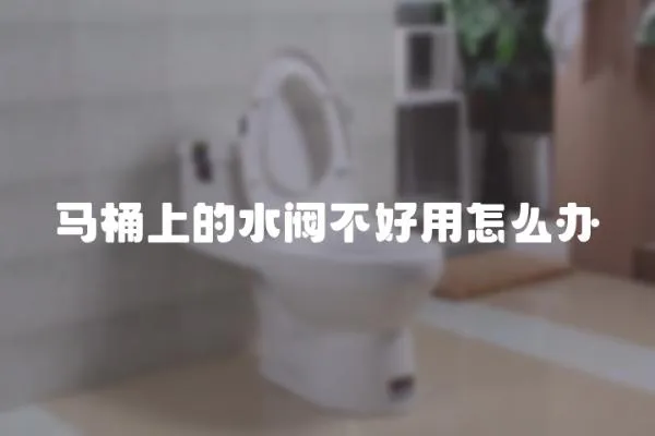 馬桶上的水閥不好用怎么辦