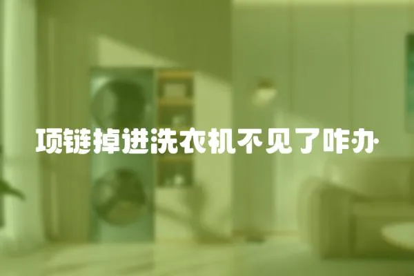 項(xiàng)鏈掉進(jìn)洗衣機(jī)不見(jiàn)了咋辦