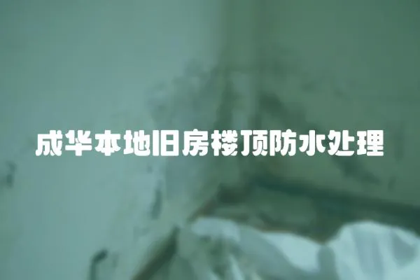 成華本地舊房樓頂防水處理