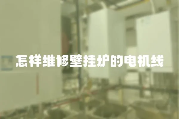 怎樣維修壁掛爐的電機線