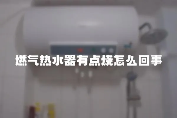 燃氣熱水器有點燒怎么回事