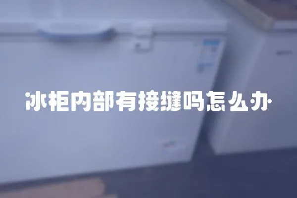 冰柜内部有接缝吗怎么办