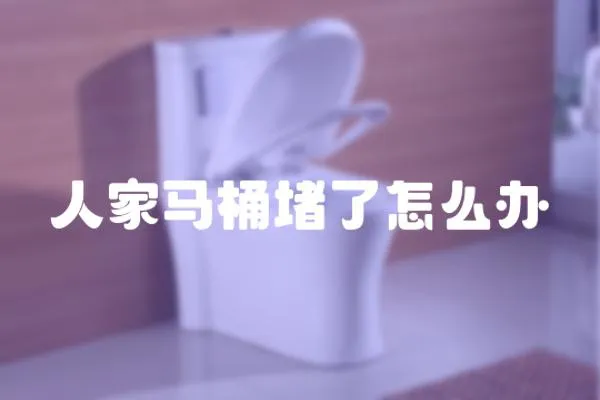 人家馬桶堵了怎么辦