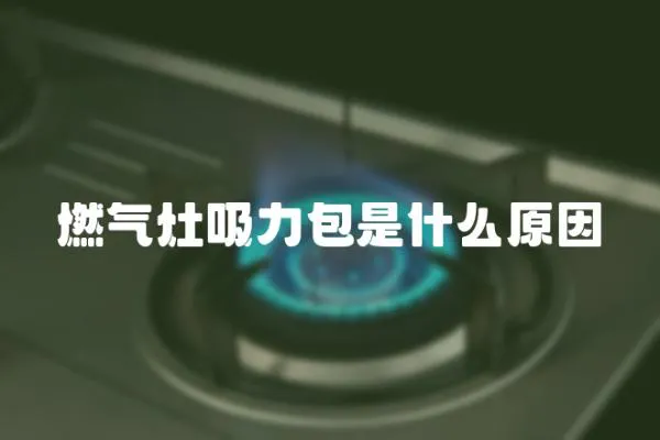 燃?xì)庠钗Π鞘裁丛?></a></div>
                    </div>
                    <div   id=