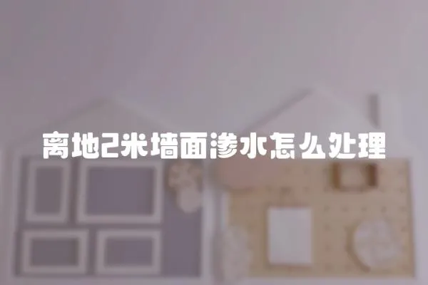 離地2米墻面滲水怎么處理