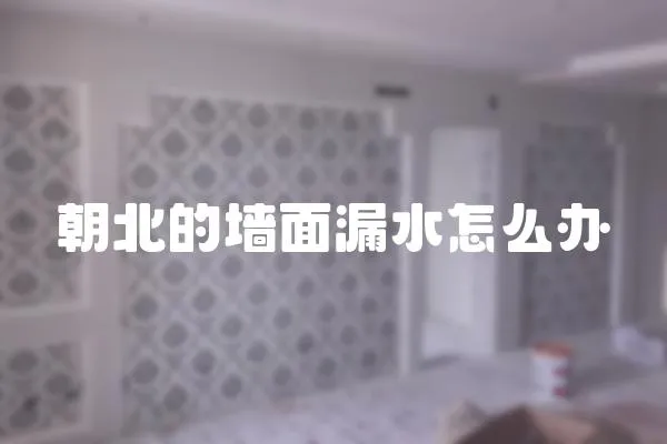 朝北的墻面漏水怎么辦