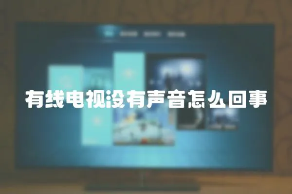 有線電視沒有聲音怎么回事