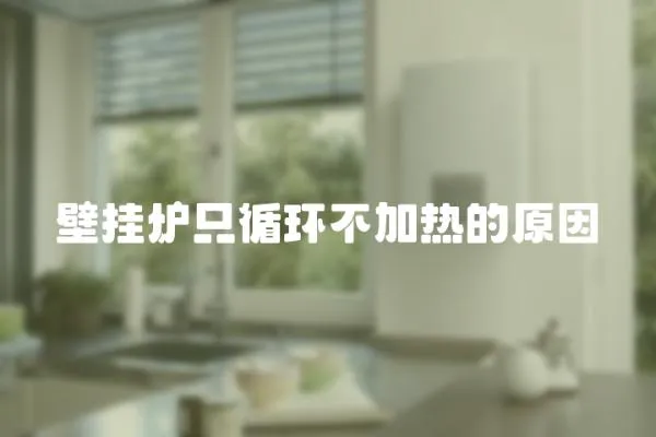 壁掛爐只循環不加熱的原因