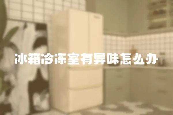 冰箱冷凍室有異味怎么辦