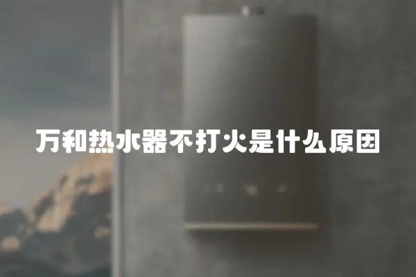 萬和熱水器不打火是什么原因