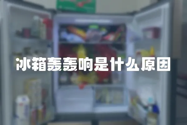 冰箱轟轟響是什么原因