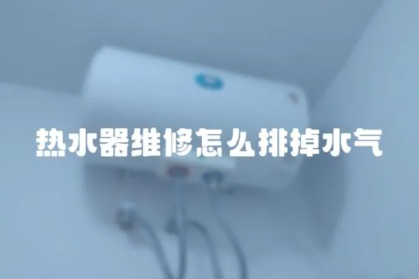 熱水器維修怎么排掉水氣