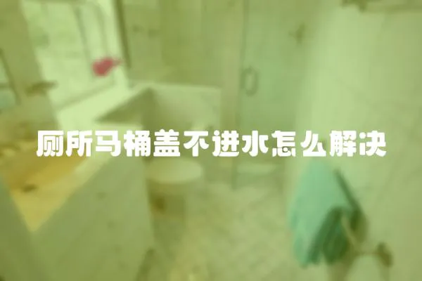 廁所馬桶蓋不進水怎么解決