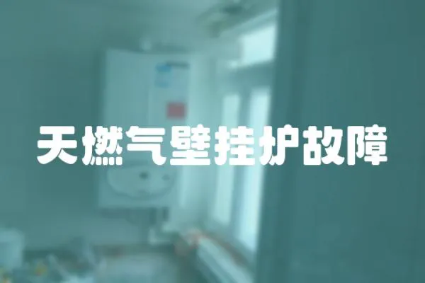 天燃?xì)獗趻鞝t故障