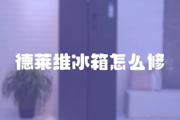 德萊維冰箱怎么修