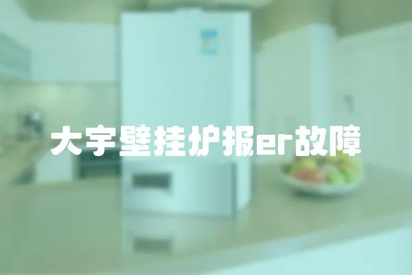 大宇壁掛爐報er故障